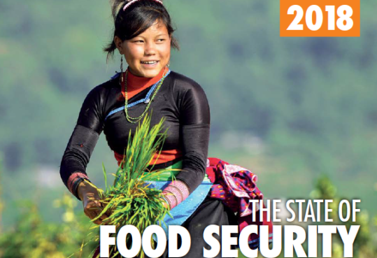 FAO: Hunger increases in the world for the third consecutive year