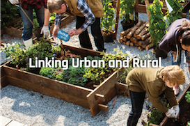 Linking-Urban-and-Rural_Widget.png