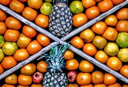 Why crop yields aren’t the right fix for global hunger