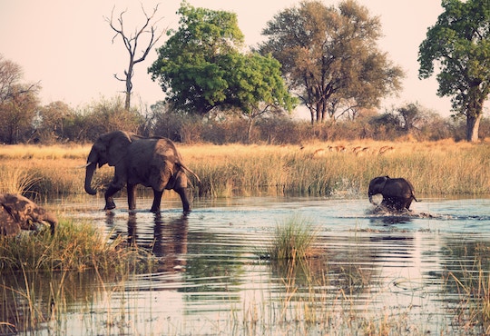 In Durban Declaration, African Ministers Seek Action for Sustainability and Prosperity