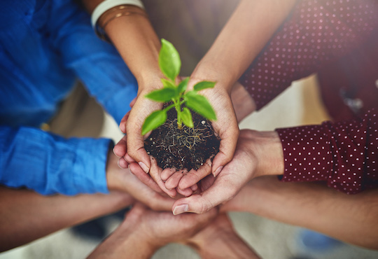 Regions of Gastronomy: a force for good when they work together