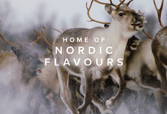 Food Film Menu 2020: Best Food Film showcasing the Regions of Gastronomy announced