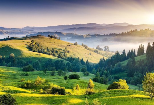 Historic UN Summit on Biodiversity