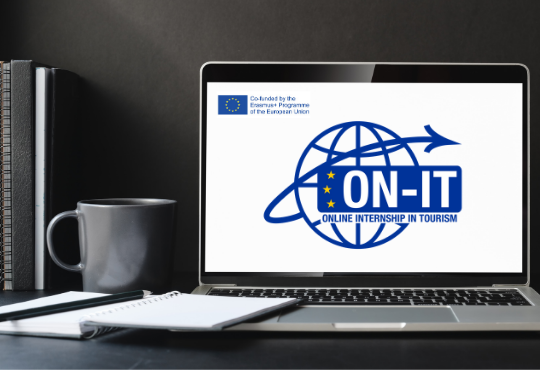 The ON-IT project looks for virtual internship stories
