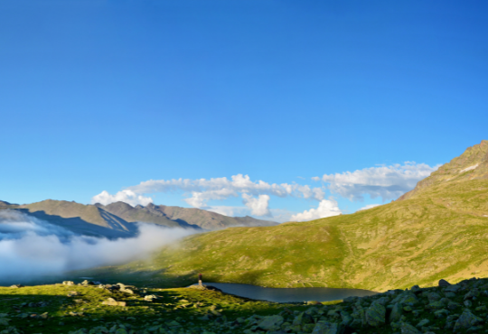 UNESCO steps up efforts for biodiversity conservation