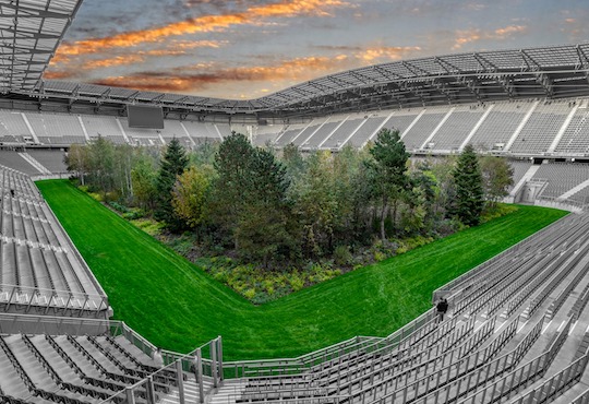 How Should Art Reckon With Climate Change?