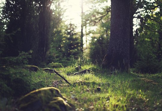 No public health without planetary health