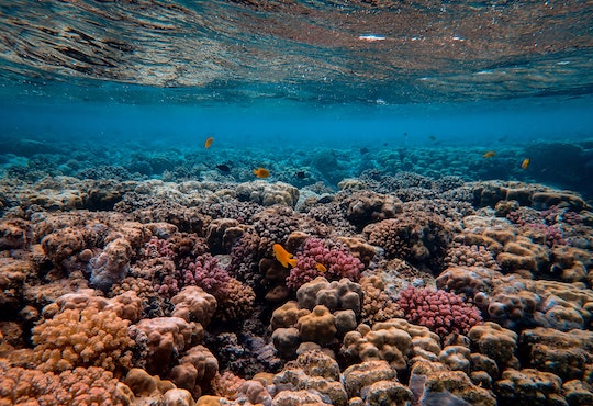 UN Ocean Conference ends with call for greater global commitment