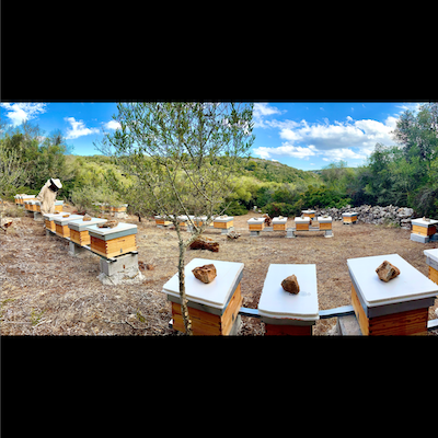 Honey Island_Menorca 2022_3 Honey Island_Menorca 2022_3