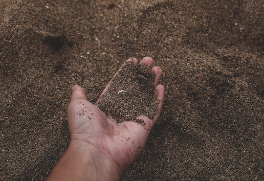 Four new reports highlight importance of the microbiome for food safety