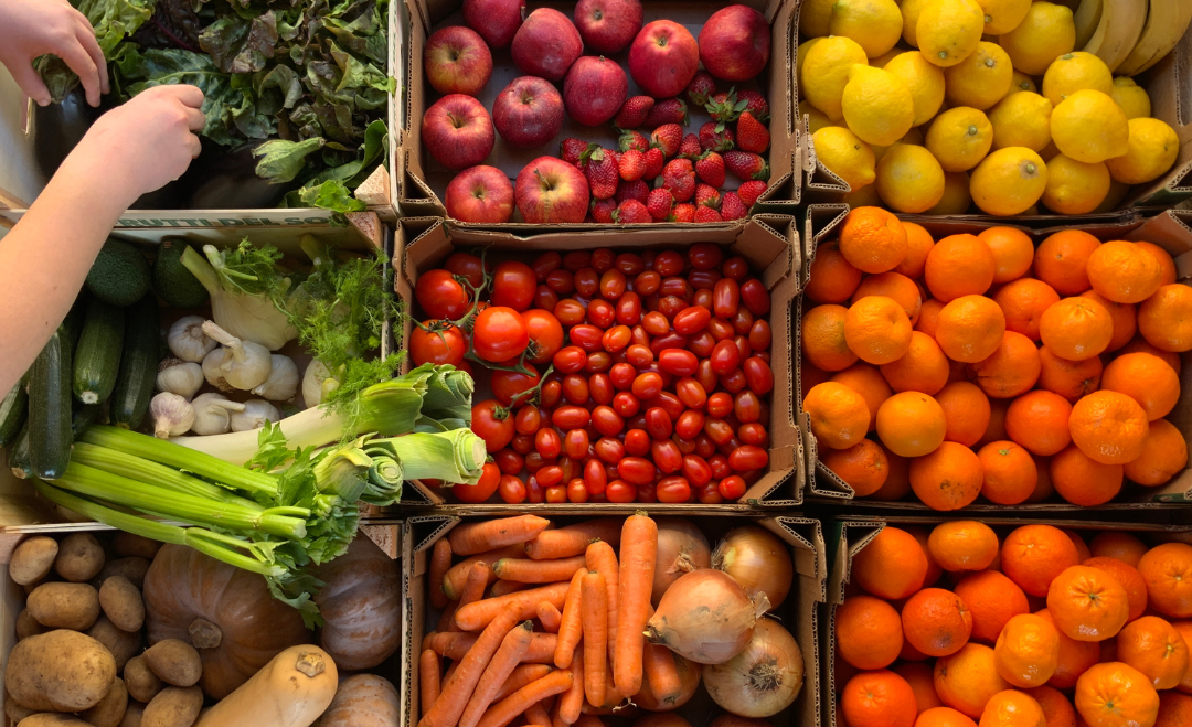 Tackling food loss and waste from the farm to the table and beyond