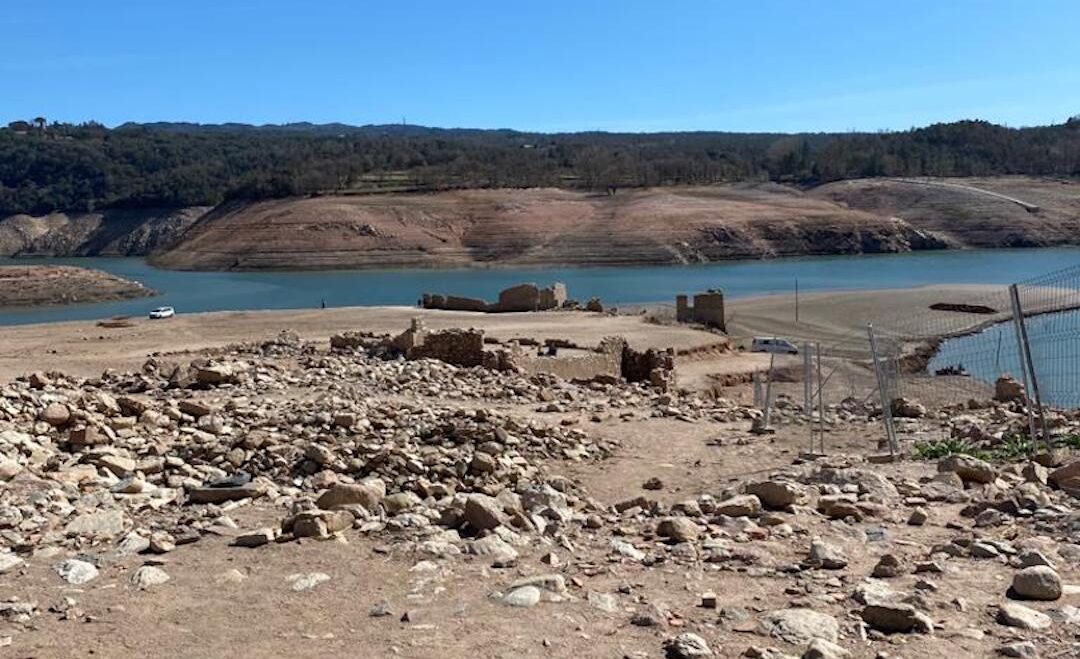 Biodiversity loss in all species and every ecosystem linked to humans – report