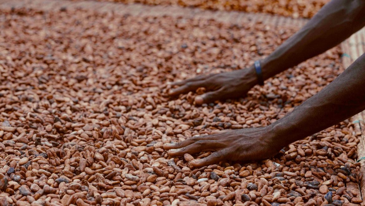 Les philanthropes détruisent-ils les fermes africaines ?