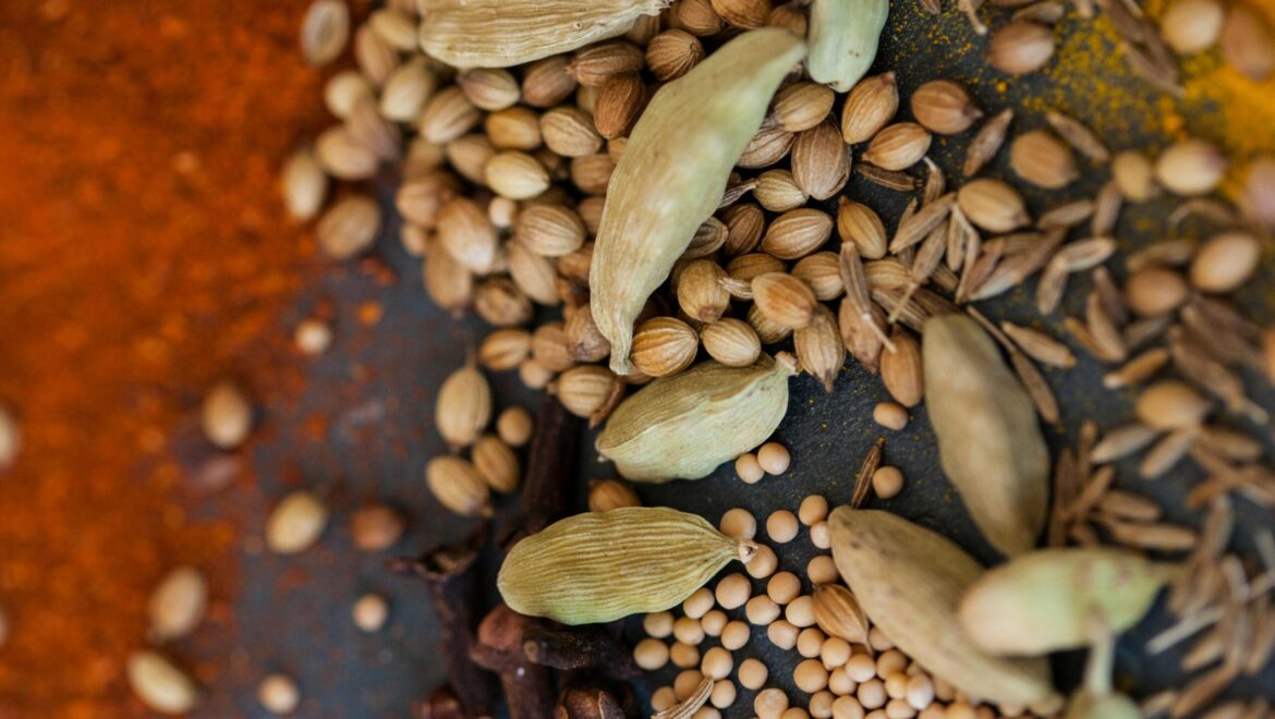 Celebration Meets Urgency at Latest Seed Vault Opening in Svalbard