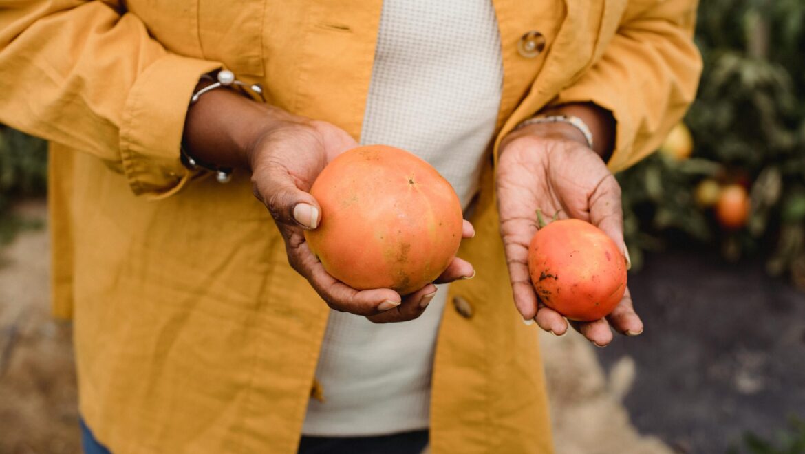 Tourism Food for Good: Co-Creating Sustainable Food Systems in the Tourism Sector